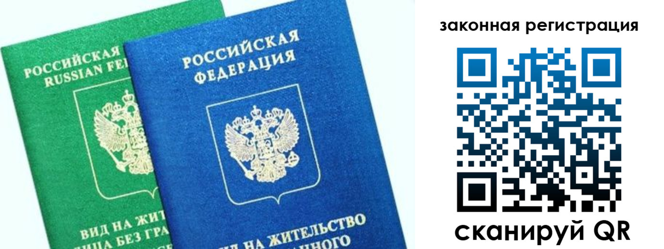 купить прописку в Курской области